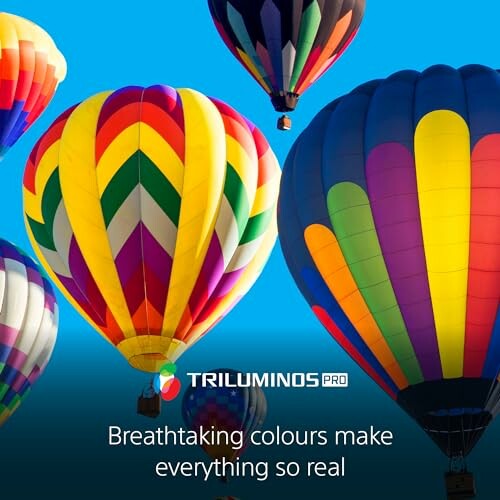 Vibrant hot air balloons in the sky with Triluminos Pro logo.