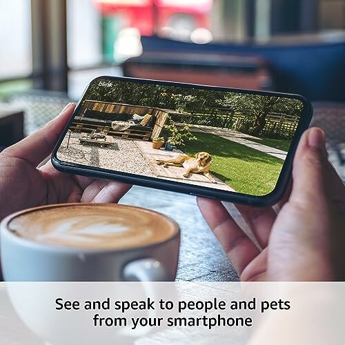 Person holding smartphone showing pet on screen near coffee cup